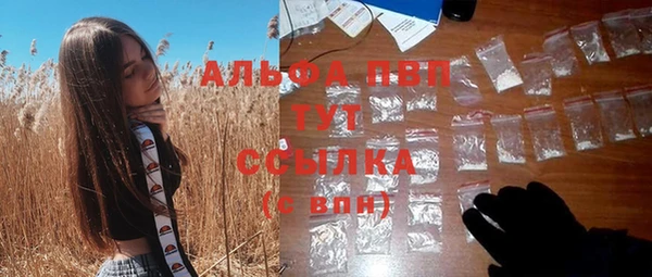 ПСИЛОЦИБИНОВЫЕ ГРИБЫ Жердевка